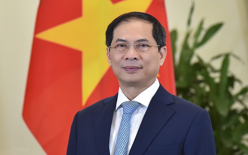 Minister of Foreign Affairs Bui Thanh Son (Photo: VNA)