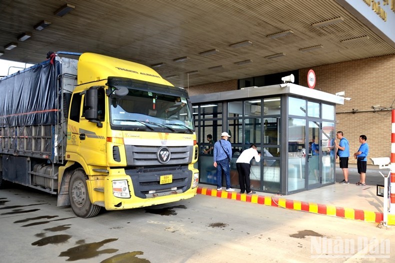 The Management Board has arranged the shortest and most convenient lanes for trucks carrying fresh lychee to enter the border gate. (Photo: NDO)