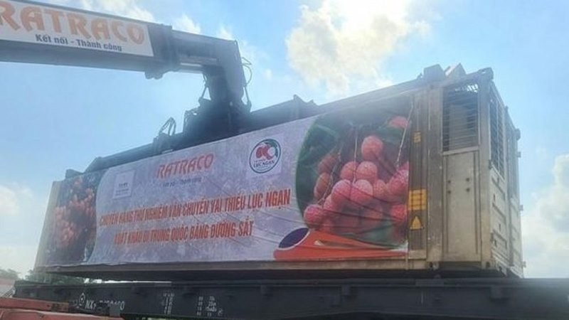 The first batch of Bac Giang’s Luc Ngan fresh lychee successfully exported to China by train.