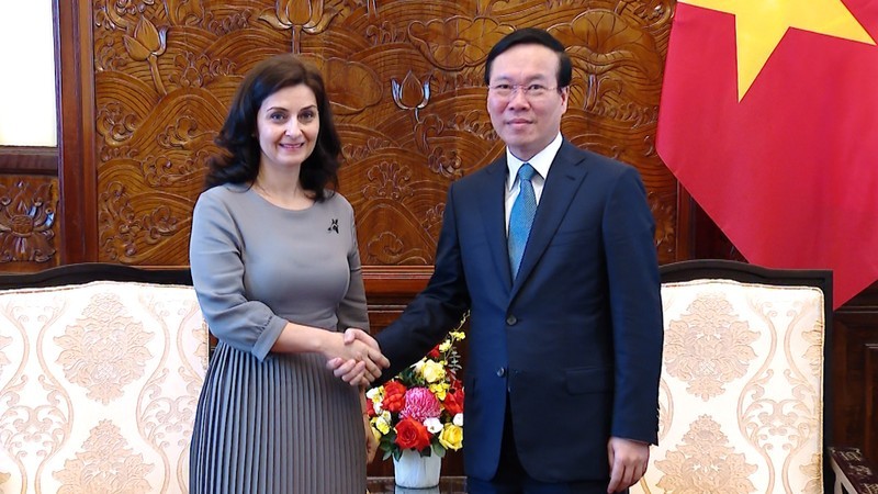 President Vo Van Thuong (R) meets with outgoing Bulgarian Ambassador to Vietnam Marinela Petkova in Hanoi on June 9. (Photo: VNA)