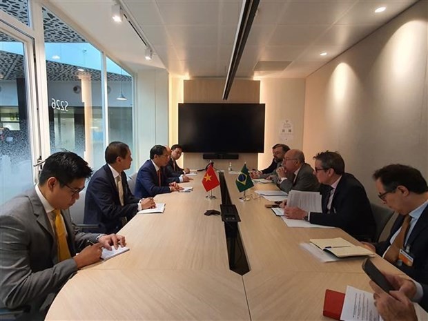 The meeting between Vietnamese Foreign Minister Bui Thanh Son and Brazilian Foreign Minister Mauro Vieira in Paris on June 8 (Photo: VNA)
