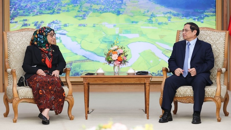 Prime Minister Pham Minh Chinh receives Ambassador of Brunei to Vietnam, Datin Paduka Malai Hajah Halimah Malai Haji Yussof, in Hanoi on July 6. (Photo: VOV)
