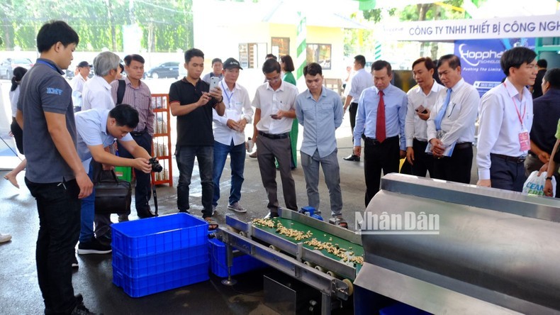 Cashew processing equipment showcased at the event (Photo: NDO)