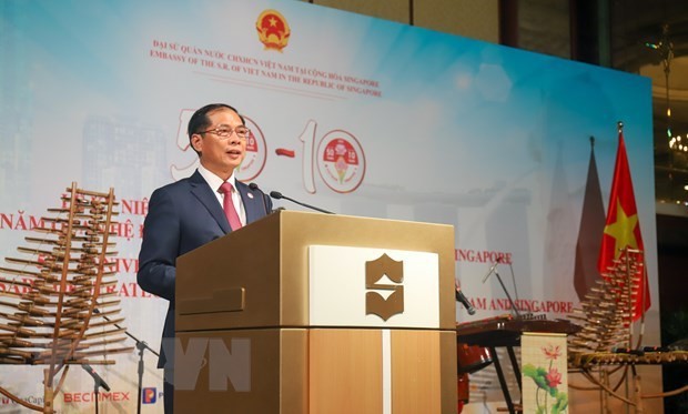 Foreign Minister Bui Thanh Son speaks at the event. (Photo: VNA)