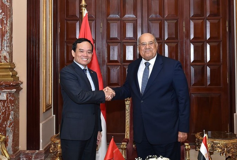 Deputy Prime Minister Tran Luu Quang (L) and Speaker of the Egyptian Senate Abdel-Wahab Abdel-Razek. 