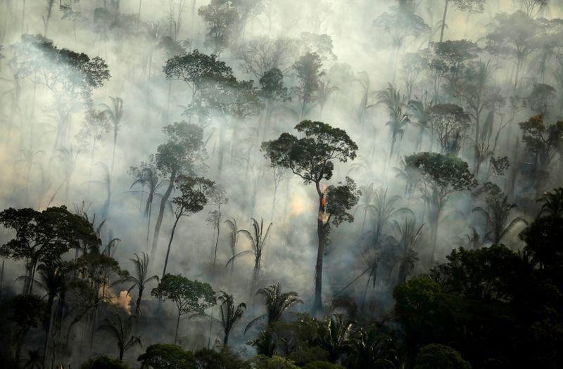 Fires in an area of the Amazon Rainforest in 2019. (Photo: REUTERS)