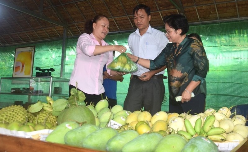 Vietnam has many opportunities to export mangoes to the US market.