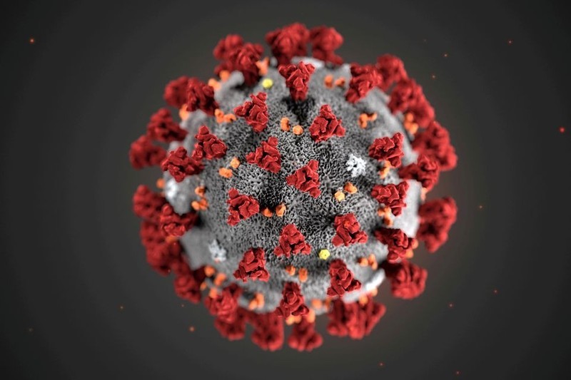 SARS-CoV-2 virus. (Photo: Reuters)