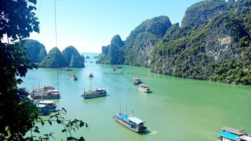 Ha Long Bay has nearly 2,000 islands. (Photo: Thanh Van/VNA)