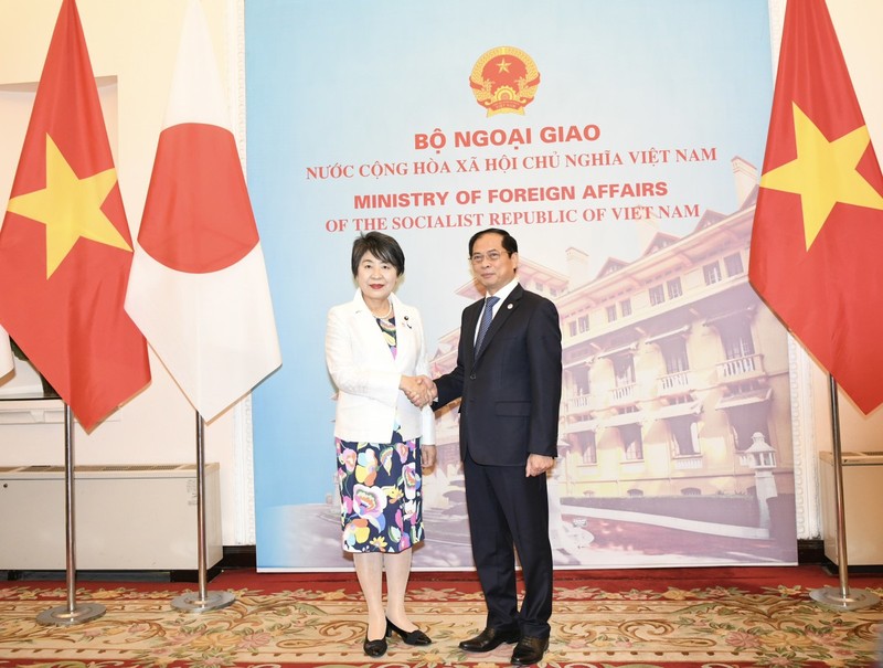 Minister of Foreign Affairs Bui Thanh Son and his Japanese counterpart Kamikawa Yoko. (Photo: NHU Y)