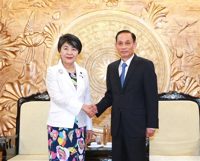 Head of the Party Central Committee's Commission for External Relations Le Hoai Trung receives visiting Japanese Minister of Foreign Affairs Kamikawa Yoko in Hanoi. (Photo: VNA)