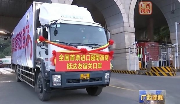 The first batch of Vietnamese bird's nests has smoothly gone through customs at the Youyi Guan international border gate in Pingxiang city. (Photo: Guangxi Television of China)