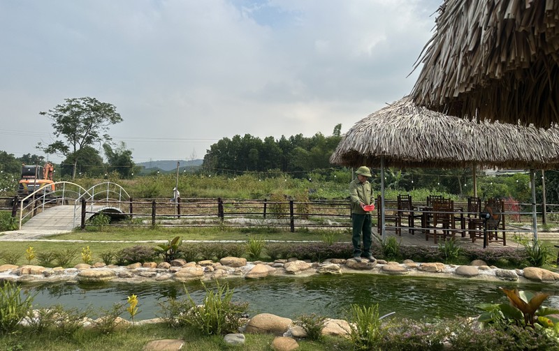 The Hoa Qua Vien experiential tourism site of Toan Phu Agricultural and Forestry Cooperative in Son Duong Commune, Ha Long City.
