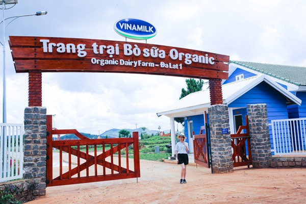 A Vinamilk Organic Dairy Farm in Da Lat.