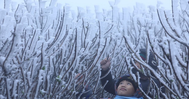 Visitors are excited at the icy sight at the top of Mau Son Mountain.