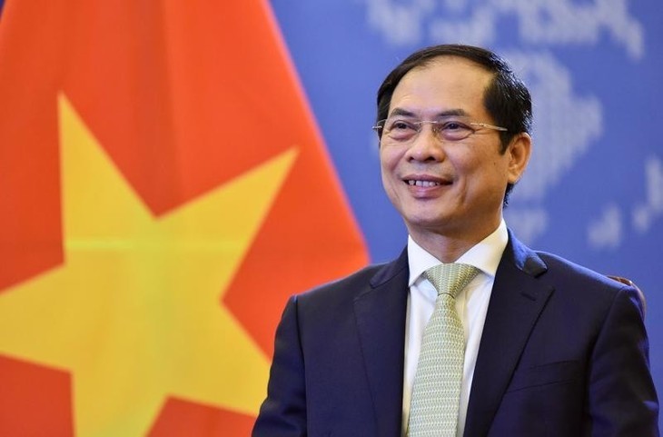 Minister of Foreign Affairs Bui Thanh Son. (Photo: baoquocte.vn)