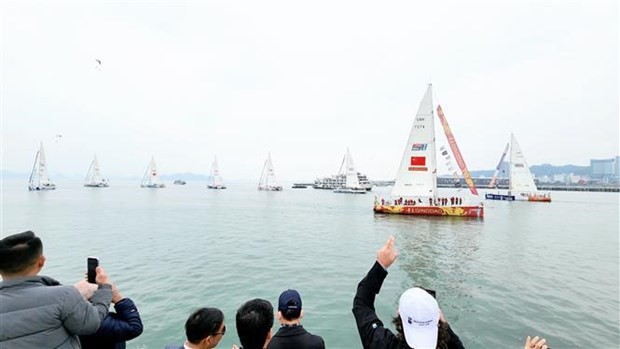 All sailing teams competing in the 2023-2024 Clipper Round the World Yacht Race in 2023-2024 leave Quang Ninh on March 2 (Photo: VNA)