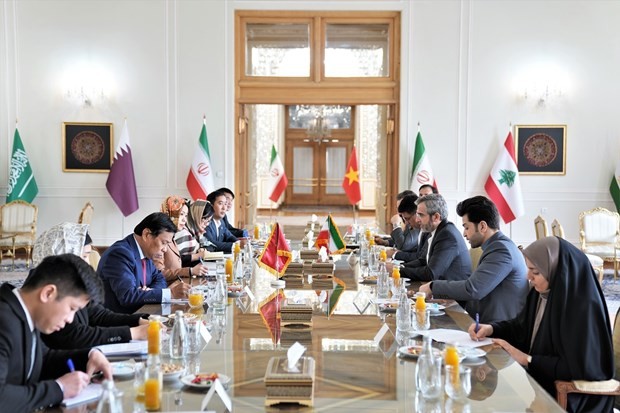 The eighth political consultation at the deputy foreign ministerial level betwen Vietnam and Iran (Source: VNA)