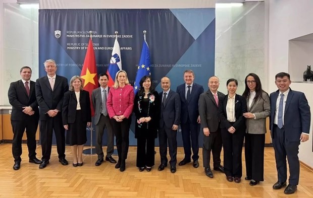 Deputy Foreign Minister Le Thi Thu Hang (6th from the left) and delegates pose for a photo at the political consultation. (Photo: baoquocte) 