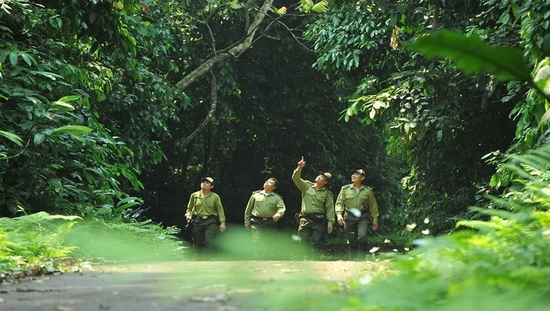 Cuc Phuong National Park rangers carry out a patrol to protect the forest.
