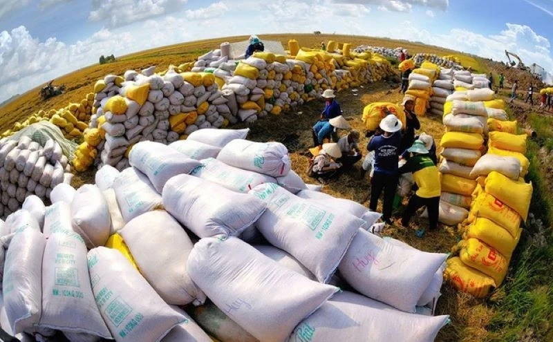 Vietnam’s rice exports hit over 2.1 million tonnes by the end of the first quarter of 2024.