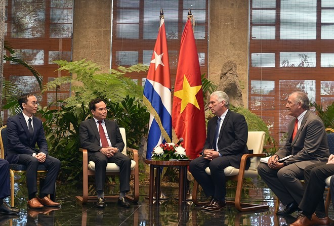 Deputy Prime Minister Tran Luu Quang (left) and First Secretary of the Communist Party of Cuba Central Committee and President of Cuba Miguel Diaz-Canel at their meeting in Havana on April 15 (Photo: VGP)
