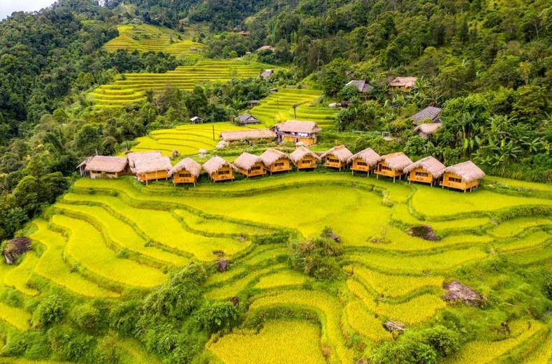 The northern province of Ha Giang tops the list of sustainable travel with majestic limestone mountains, steep winding passes and villages hidden in the mist. 
