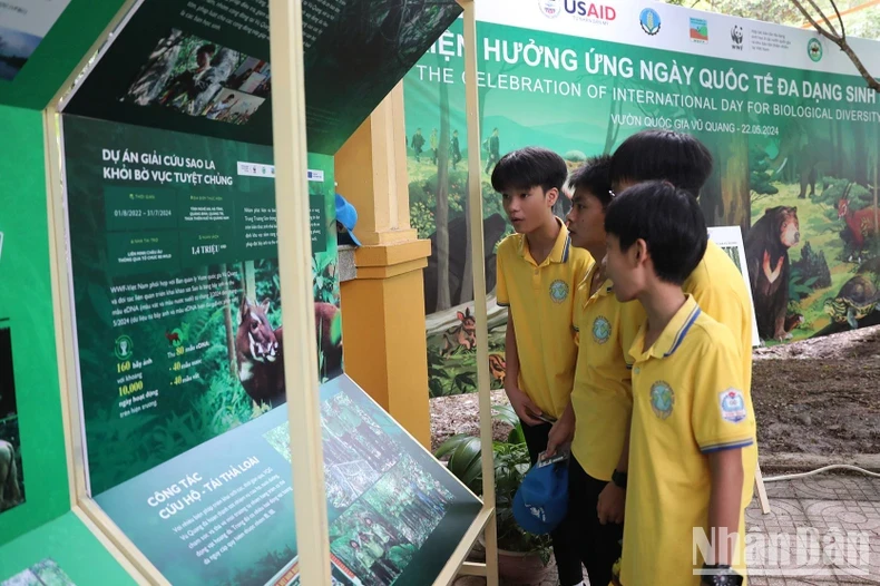 Students learn about biodiversity at Vu Quang National Park. (Photo: NDO)