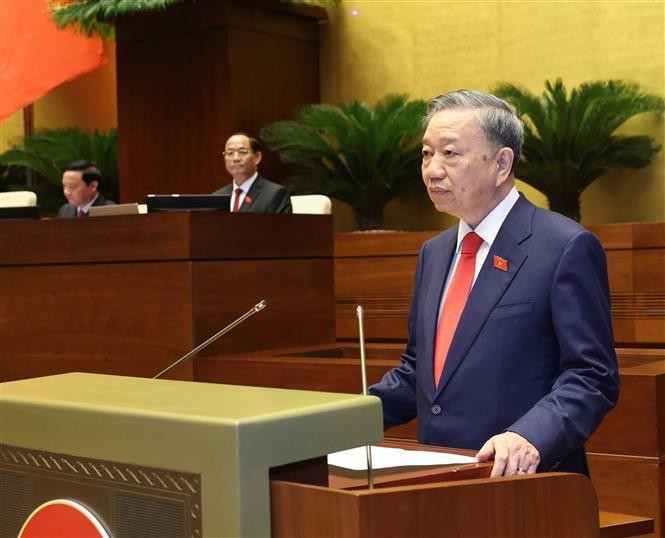State President To Lam (Photo: VNA)