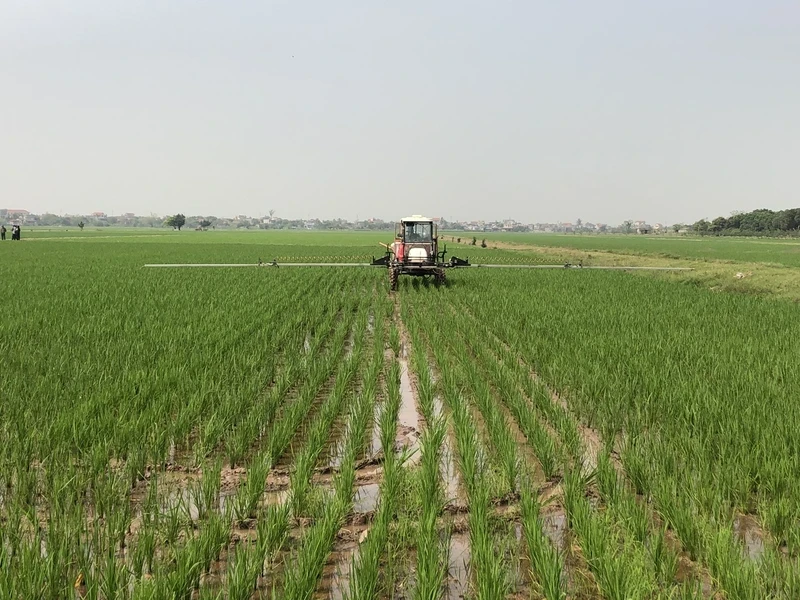 Mechanisation in rice production in Thai Binh Province. (Illustrative image)