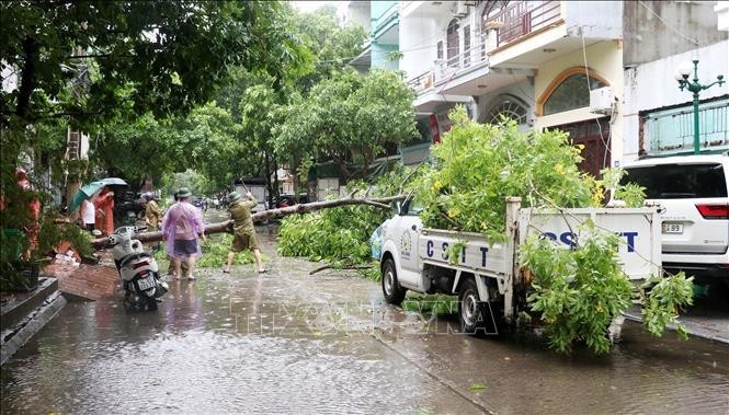 Competent forces are cleaning up a street in Ha Long city, Quang Ninh province, after the storm. (Photo: VNA)