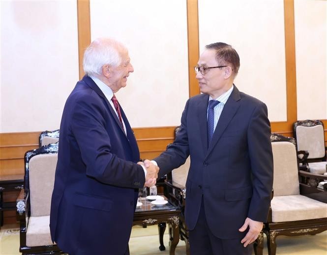 Secretary of the Party Central Committee and head of its Commission for External Relations Le Hoai Trung (R) and Josep Borrell Fontelles, Vice President of the European Commission (EC) and High Representative of the European Union (EU) for Foreign Affairs and Security Policy, at their meeting in Hanoi on July 30 afternoon. (Photo: VNA)