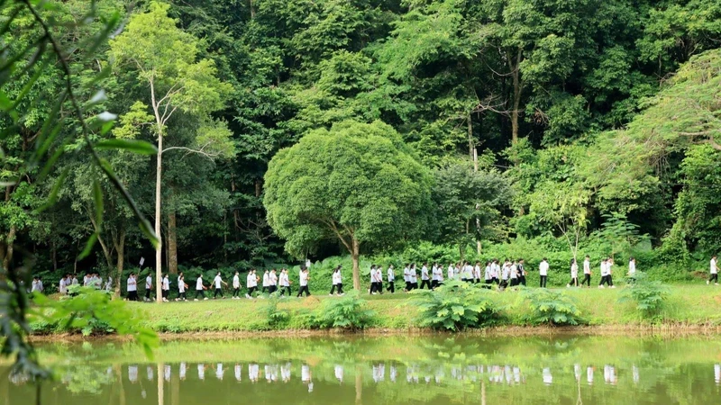 Cuc Phuong is the first National Park in Vietnam with the main tasks of conserving natural resources and cultural, historical and landscape values.