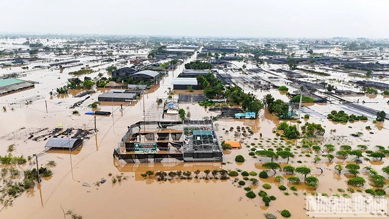 Flooding in Van Giang District, Hung Yen Province (Photo: NDO)