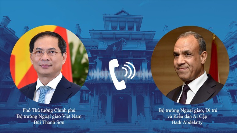 Deputy PM and FM Bui Thanh Son (left) talks on the phone with Egyptian Minister of Foreign Affairs and Immigration Badr Abdelatty (Illustrative image)