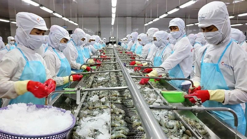 Seafood enterprises increase investment in green exports.