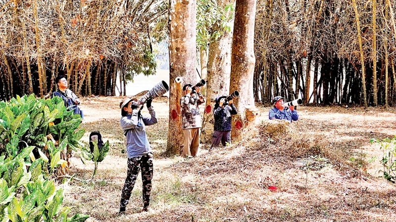 A group of tourists watch rare birds at Cat Tien National Park (Dong Nai Province).