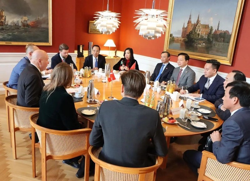 At the meeting between Deputy Prime Minister Tran Hong Ha and Speaker of the Danish Parliament Soren Gade (Photo: VNA)