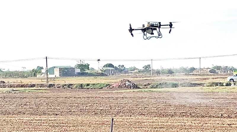 A drone used to spray pesticides in agricultural production in Hai Duong. (Photo: BAO HAN)