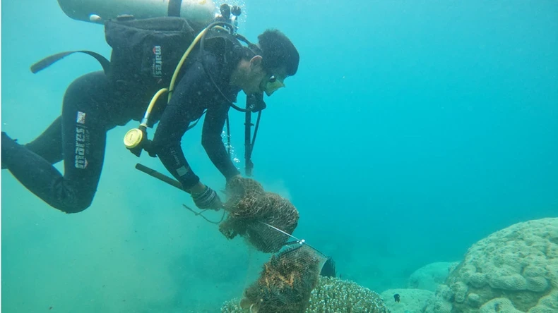 Plastic waste collection to protect the marine environment