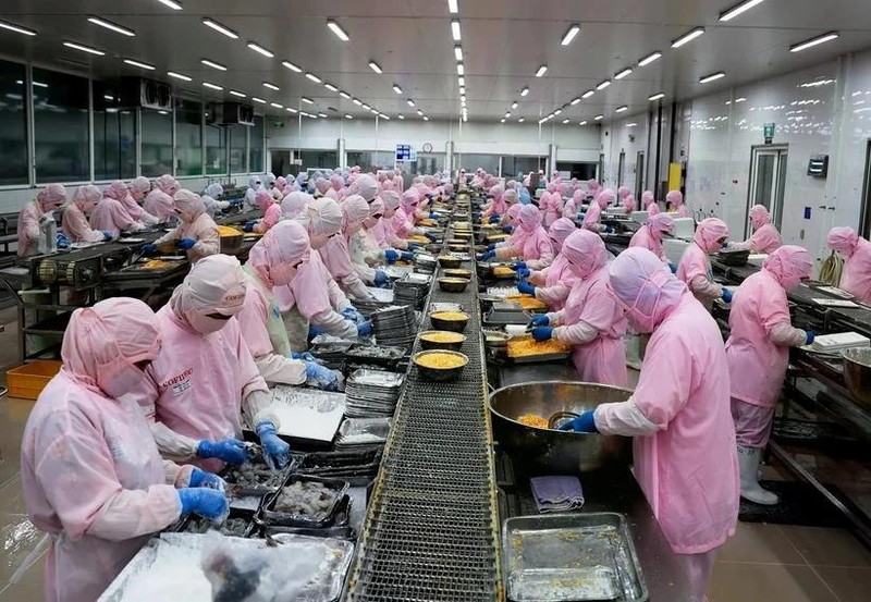 Vietnam's aquatic exports reached 10 billion USD in 2024, driven by shrimp and pangasius. (Photo: VNA)