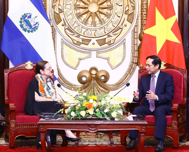 Minister of Foreign Affairs Bui Thanh Son (right) and his El Salvador counterpart Alexandra Hill Tinoco. (Photo: VNA) 