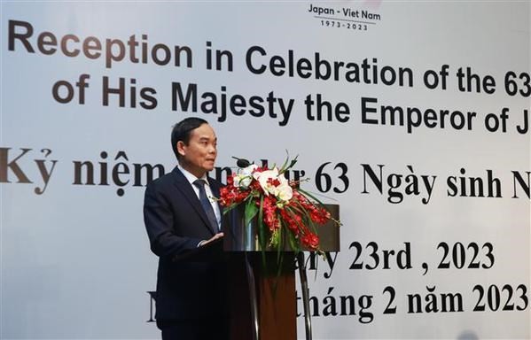 Deputy Prime Minister Tran Luu Quang speaks at the ceremony (Photo: VNA)