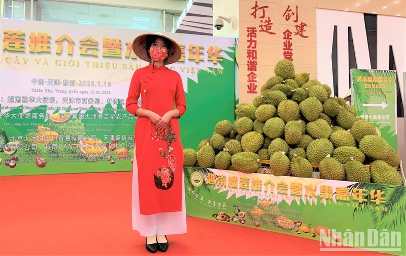 Vietnamese durian on display at the Vietnamese fruit festival in Tianjin, China. (Photo: Huu Hung) 