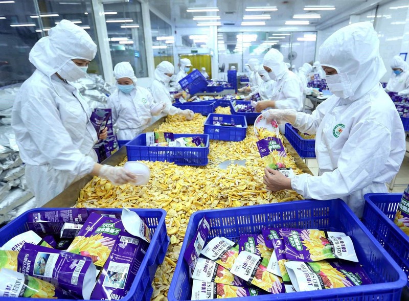 Packaging dried fruit for export. (Photo: VNA)