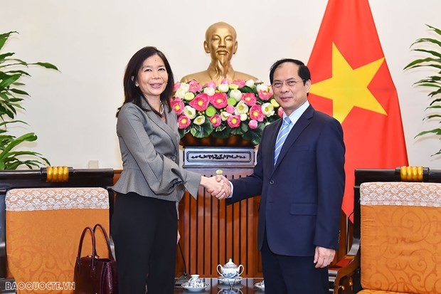 Foreign Minister Bui Thanh Son receives UN Resident Coordinator in Vietnam Pauline Tamesis in Hanoi on April 12.(Photo:baoquocte.vn)