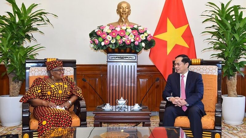 Minister of Foreign Affairs Bui Thanh Son (R) and Director-General of the World Trade Organization (WTO) Ngozi Okonjo-Iweala.