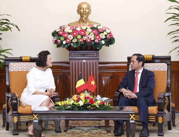 Minister of Foreign Affairs Bui Thanh Son (R) receives President of the Belgian Senate Stéphanie D'Hose in Hanoi on August 22. (Photo: VNA)