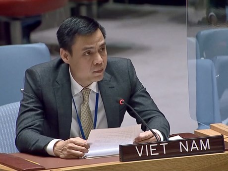 Ambassador Dang Hoang Giang, Permanent Representative of Vietnam to the United Nations (Photo: VNA)