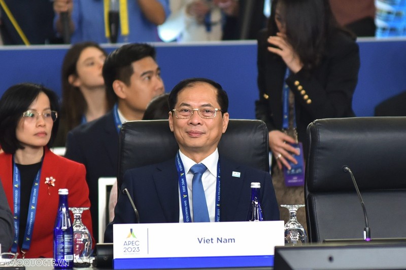 Minister of Foreign Affairs Bui Thanh Son. (Photo: baoquocte.vn)